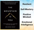 The Mountain Is You by Brianna Wiest